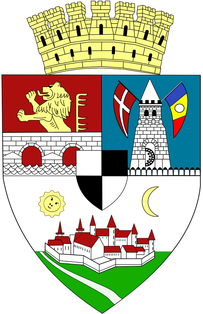 timisoara 5 sense